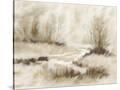 Stretched Canvas