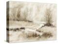 Stretched Canvas