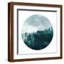 Brown Frame