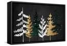 Canvas Black