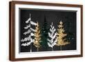 Brown Frame