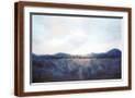 Brown Frame