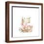 Brown Frame
