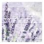 Laminate