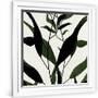 Gramercy White