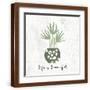 Brown Frame