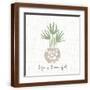 Brown Frame