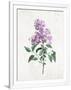 Gramercy White