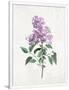 Gramercy White