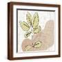 Brown Frame