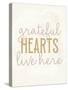 Stretched Canvas