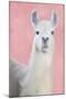 Wood Mount