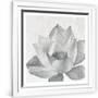 Gramercy White