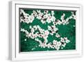 White Frame