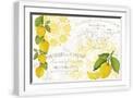 White Frame
