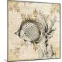 Wood Mount