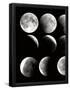 Essential Black
