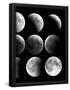 Essential Black