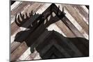 Wood Mount