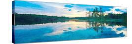 Stretched Canvas