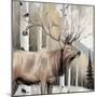 Wood Mount