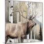 Wood Mount