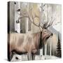 Stretched Canvas