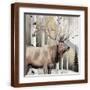 Brown Frame