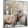 Wood Mount
