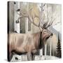 Stretched Canvas