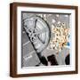 Brown Frame