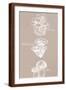 Brown Frame