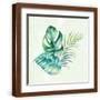 Brown Frame