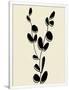 Gramercy White