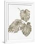 Gramercy White