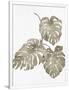 Gramercy White