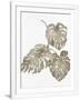 Gramercy White