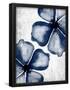 Essential Black