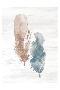 Just the Print
