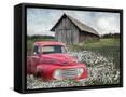 Canvas Black