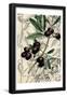 Essential Black