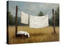 Stretched Canvas