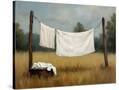Stretched Canvas