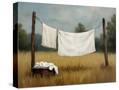 Stretched Canvas