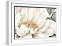 White Frame