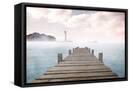 Framed Canvas