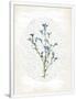Gramercy White