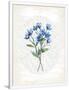 Gramercy White