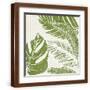 Brown Frame