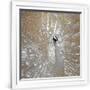 Gramercy White